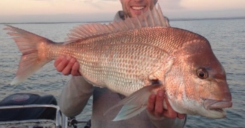 Fishing in Port Phillip Bay (VIC)