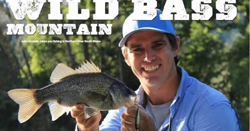 Wild Bass