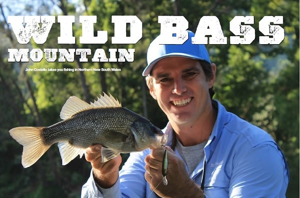 Wild Bass